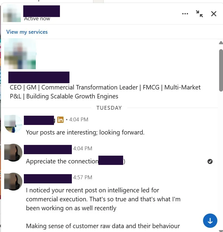 LinkedIn message thread in which a chief executive of a consumer goods group writes first, saying the posts are interesting